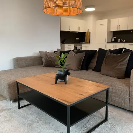 Helle, Grosszuegige Mit Carport Und Terrasse Zum Wohlfuehlen Nr 1 * Langenenslingen